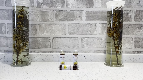 Το OEM Venous Health Oral Liquid Βελτιώνει την αναπνευστική, καρδιαγγειακή και εγκεφαλοαγγειακή υγεία