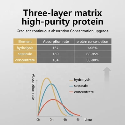 OEM/ODM Protein Whey Powder Nutrition Powder Fitness Exercise Αύξηση μυών Γρήγορη αύξηση βάρους Σκόνη κρεατίνης