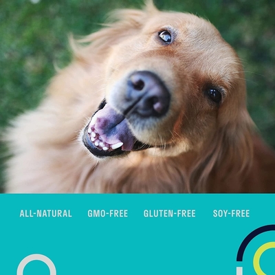 Multivitamins της Pet θρεπτικό συμπληρωμάτων συμπλήρωμα cOem σιταριού ελεύθερο Probiotic καθημερινά για τα σκυλιά