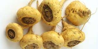 Maca Capsules Ανδρικά Συμπληρώματα Διατροφής Συμπληρώματα Σώματος Strong Fitness