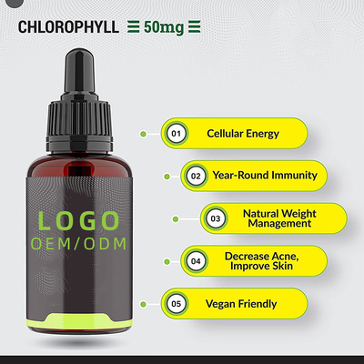 OEM/ODM Chlorophyll Liquid Drops For Water με άρωμα μέντας για την υγεία του δέρματος Ενεργειακό συμπλήρωμα ανοσοποιητικής υποστήριξης